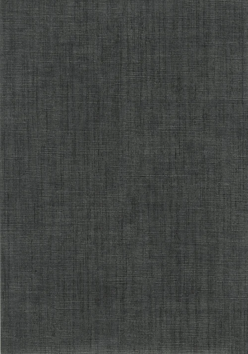 01C34 - Meteor Vita