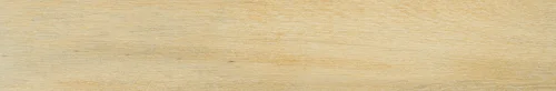 Modern-Birch-gold
