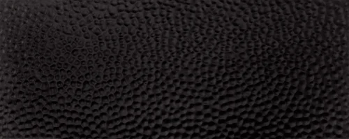 PS-Toda-Black-STR