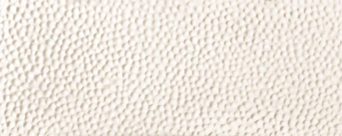 PS-Toda-White-STR