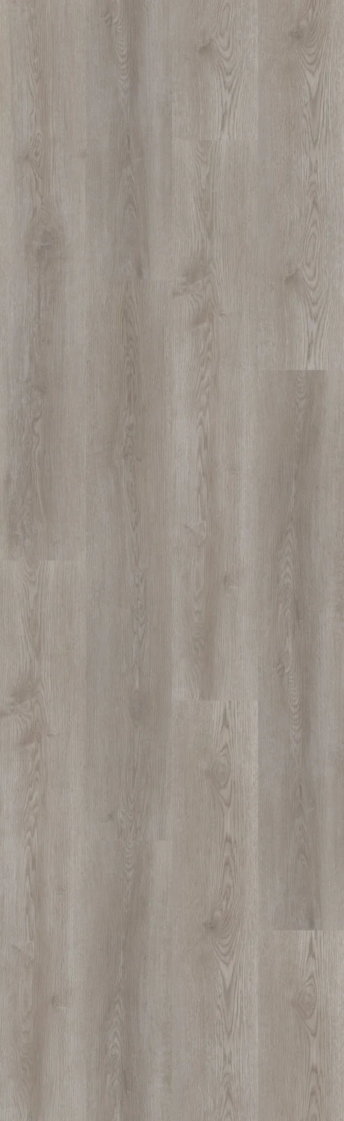 ElegantPlace (RLC187W6) 2424x744 mm