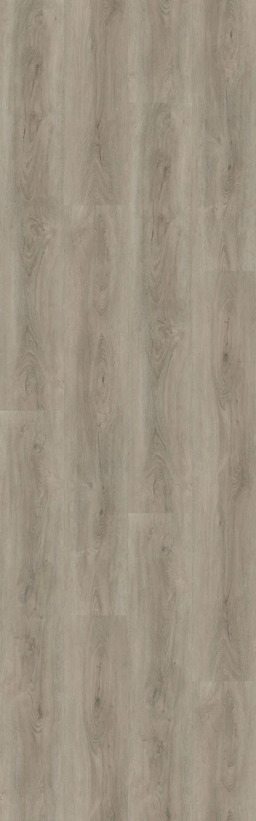 Paris Loft (RLC199W6) 3014x936 mm