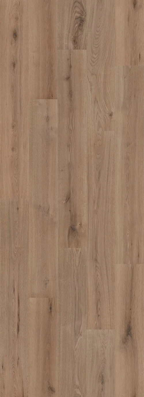 Strong Oak Cinnamon (PL301R) 2596x995 mm   