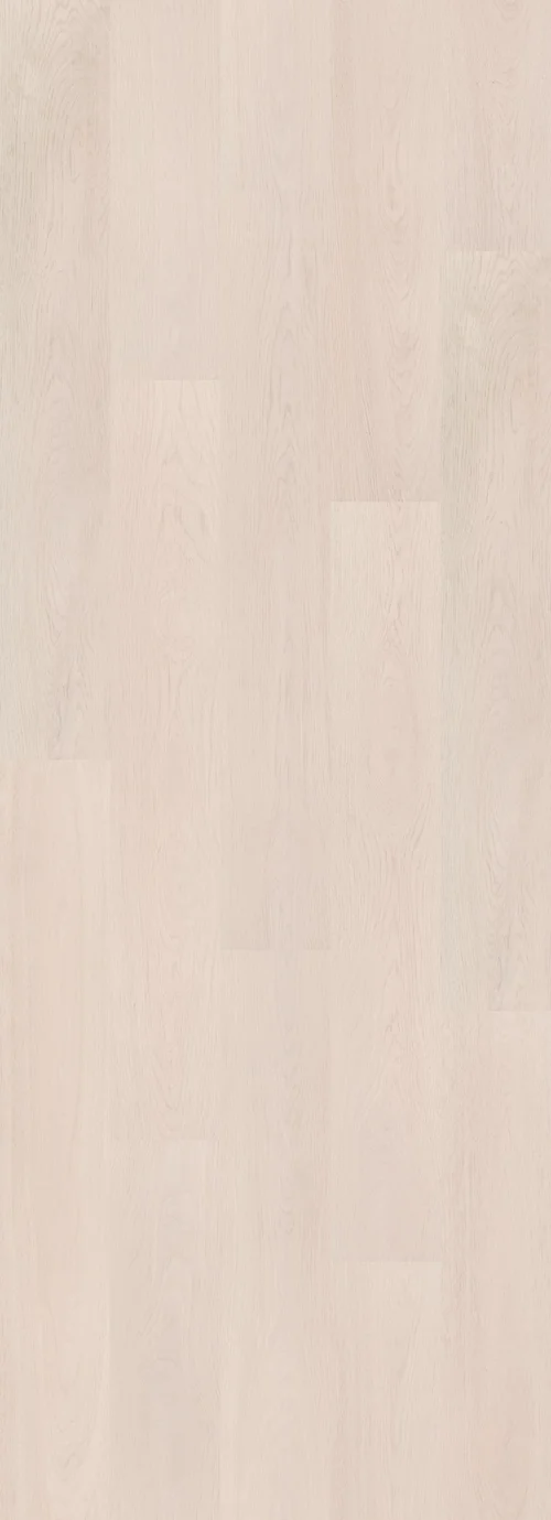 Soft Oak Salt (PL295R) 2596x995 mm   