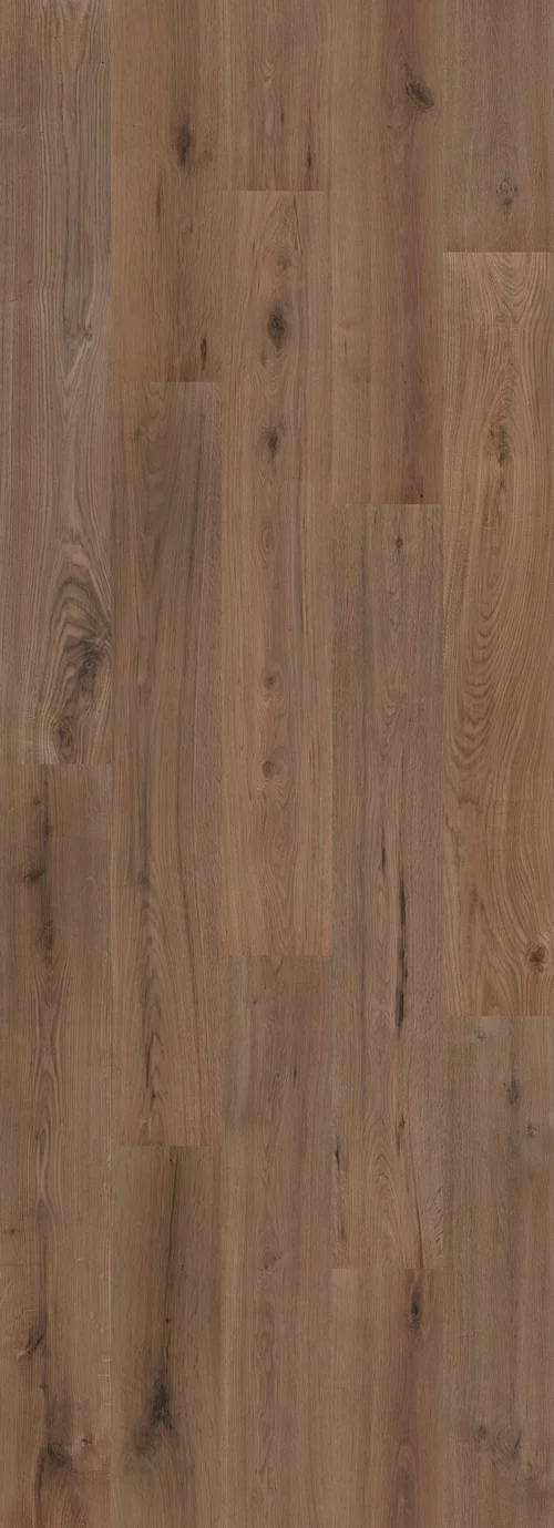 Strong Oak Cappucino (PL303R) 2596x995 mm   
