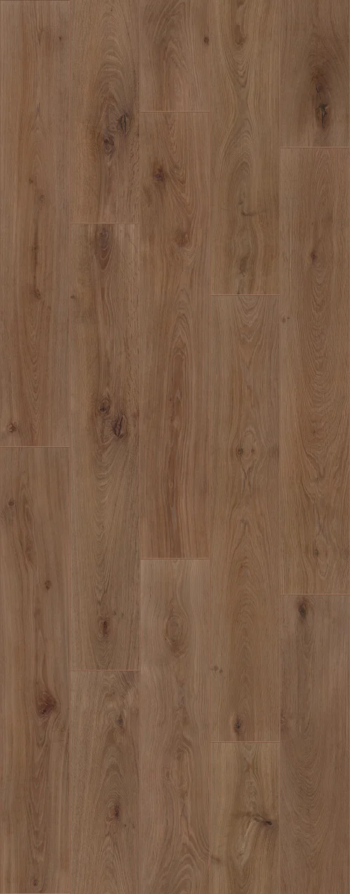 Noble Oak Chocolate (PLC312R) 3014x1239 mm 