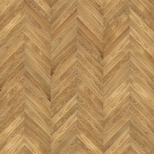FD Chevron Dąb Classic