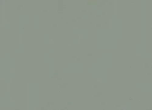Flowcoat SK_Goosewing Grey 222