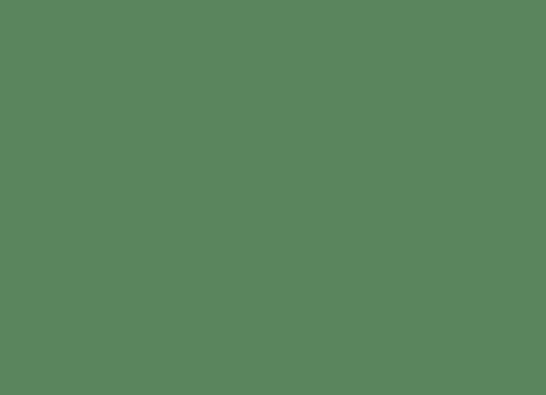 1553824-full