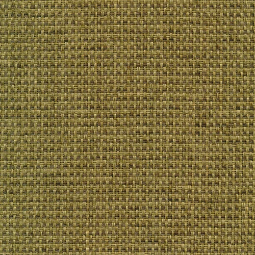 Forto 53 olive