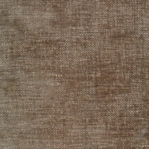 Image 124 shitake