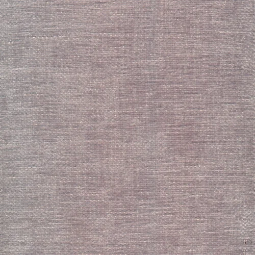Image 180 dolphin