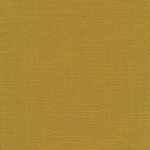 Casa 06 mustard