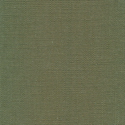 Casa 88 turtle