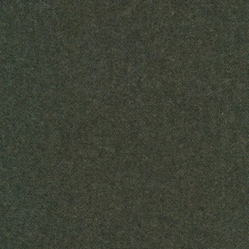 Facet olive 53