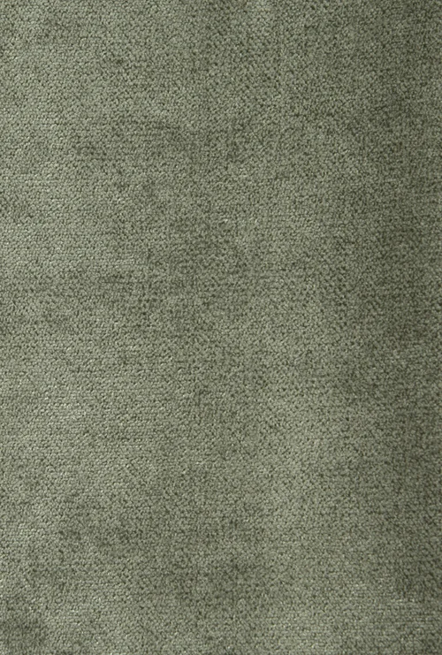TITO_EUCALYPTUS 193
