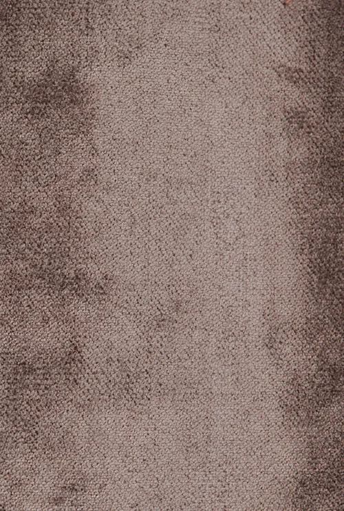 TITO_TAUPE 12