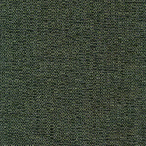 Klara 88 turtle