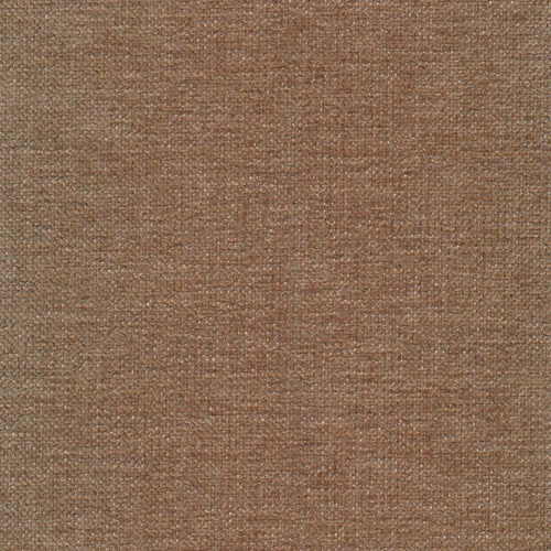 Carmen 124 shitake