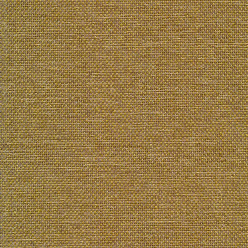 Brando 53 olive