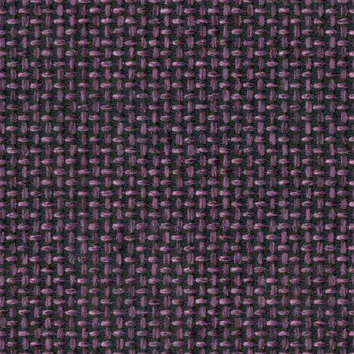 Cricket 78 purple