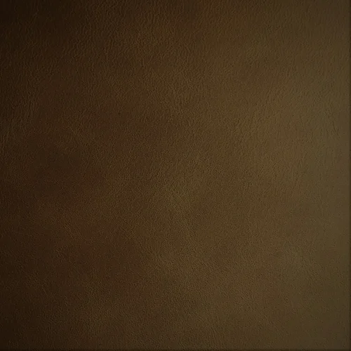 Silk 0258 zand