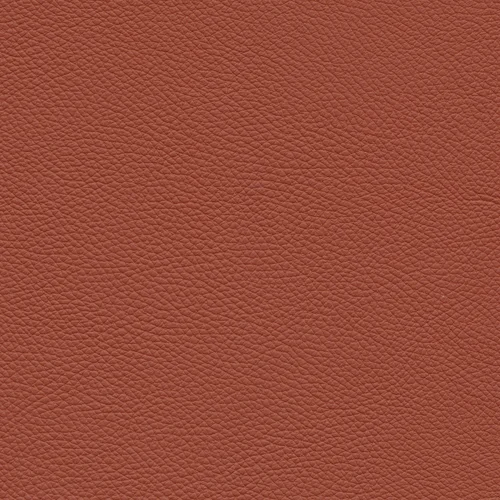 Leder W2 120 cotto
