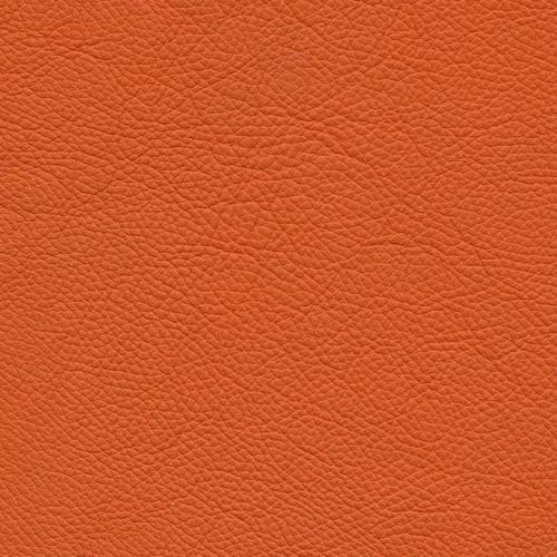 Leder W2 81 orange