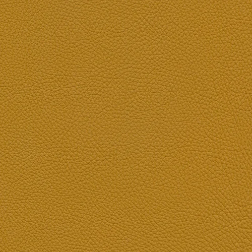 Leder W2 97 leem