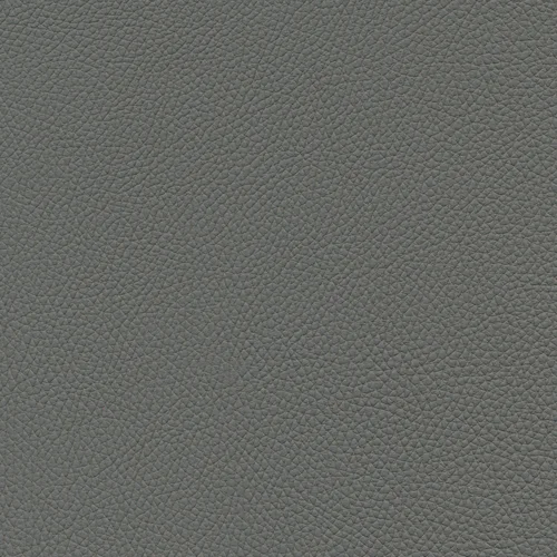 Leder W2 17 smog