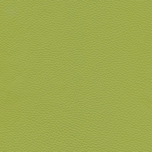 Leder W2 998 lime