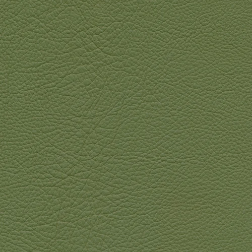 Leder W2 104 apple green