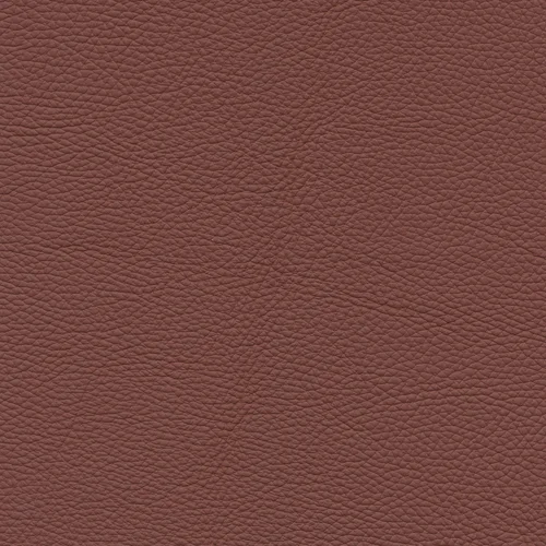 Leder W2 82 terra
