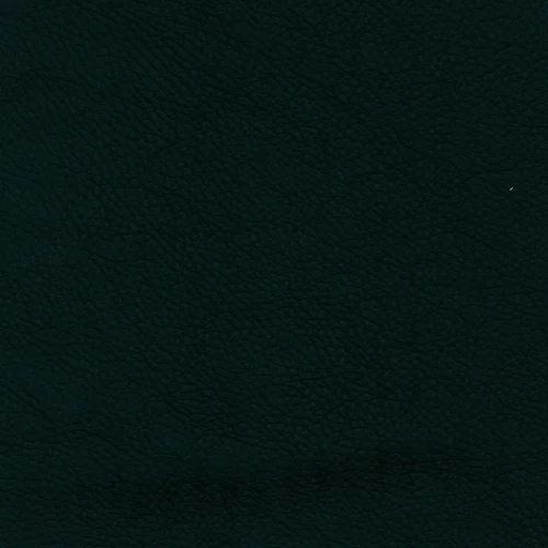 Leder W2 999 verde