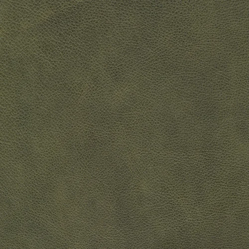 Retro olive