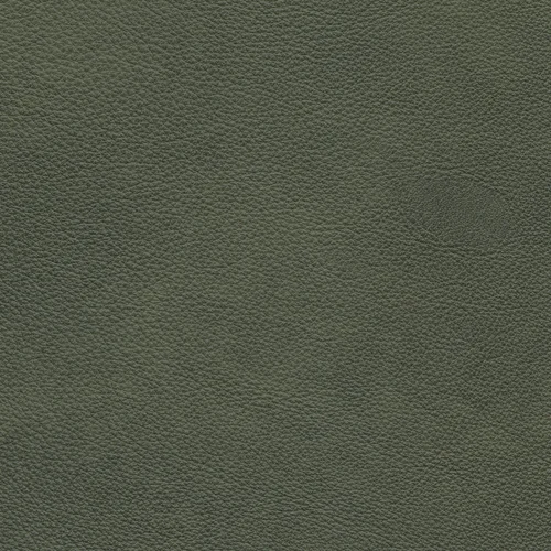 Granada moss