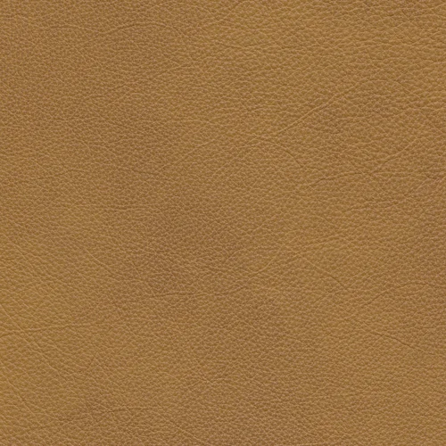 Granada sahara