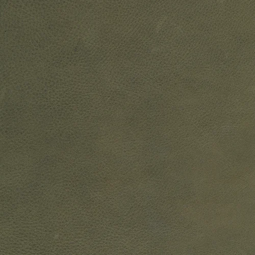 W10 olive