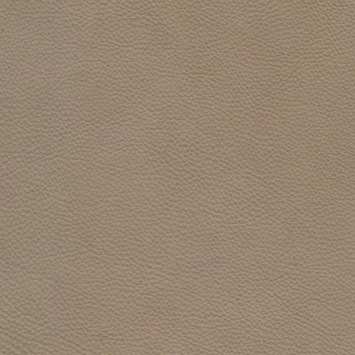 W11 savannah