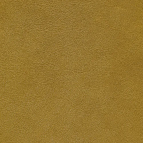W11 mustard