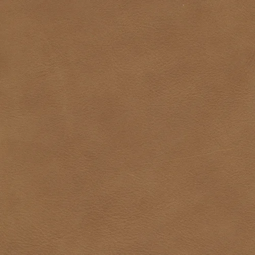 WR 141 deer