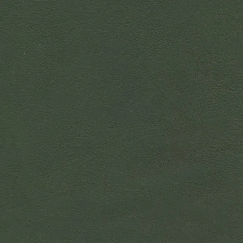 WR 53 olive