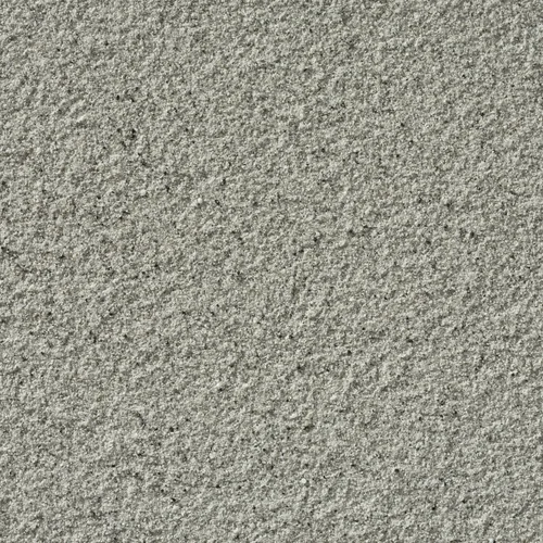 AM_Champagne_GRay_16