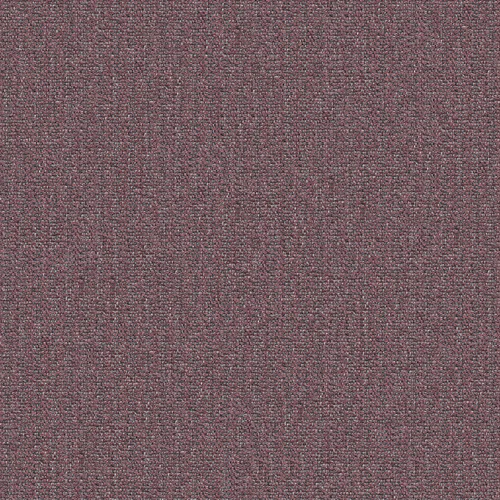 dikson_706305_lowres