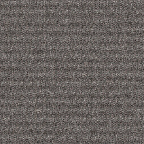 dikson_706311_lowres