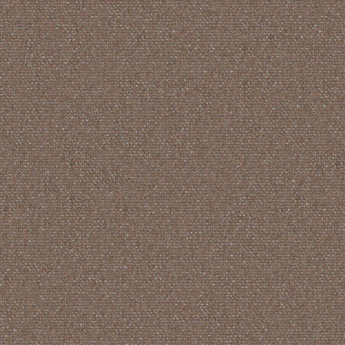 foster_707204_lowres