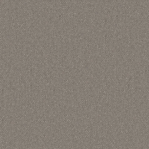 foster_707209_lowres