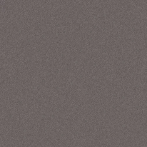 leone-plus_705403_lowres