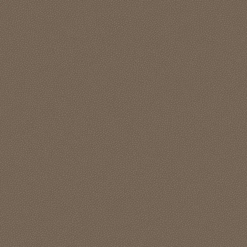 leone-plus_705404_lowres