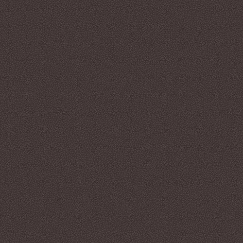 leone-plus_705406_lowres